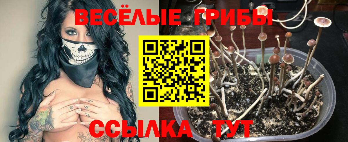 Галлюциногенные грибы мухоморы Ишимбай